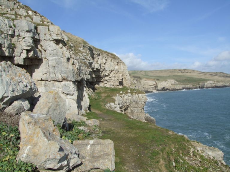 Habitat at Winspit Quarry